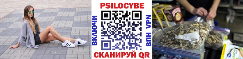 купить наркотик Мурино Псилоцибиновые грибы GOLDEN TEACHER